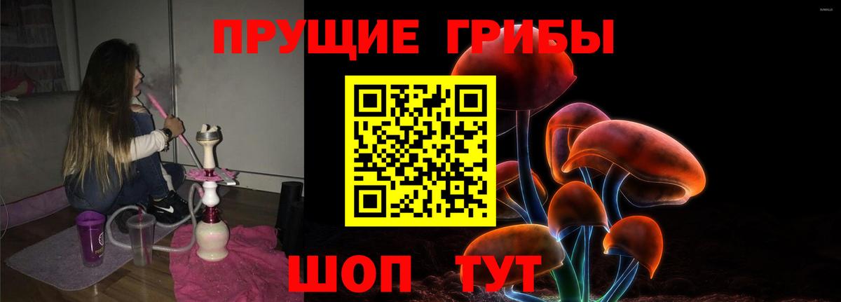 Псилоцибиновые грибы MAGIC MUSHROOMS Будённовск